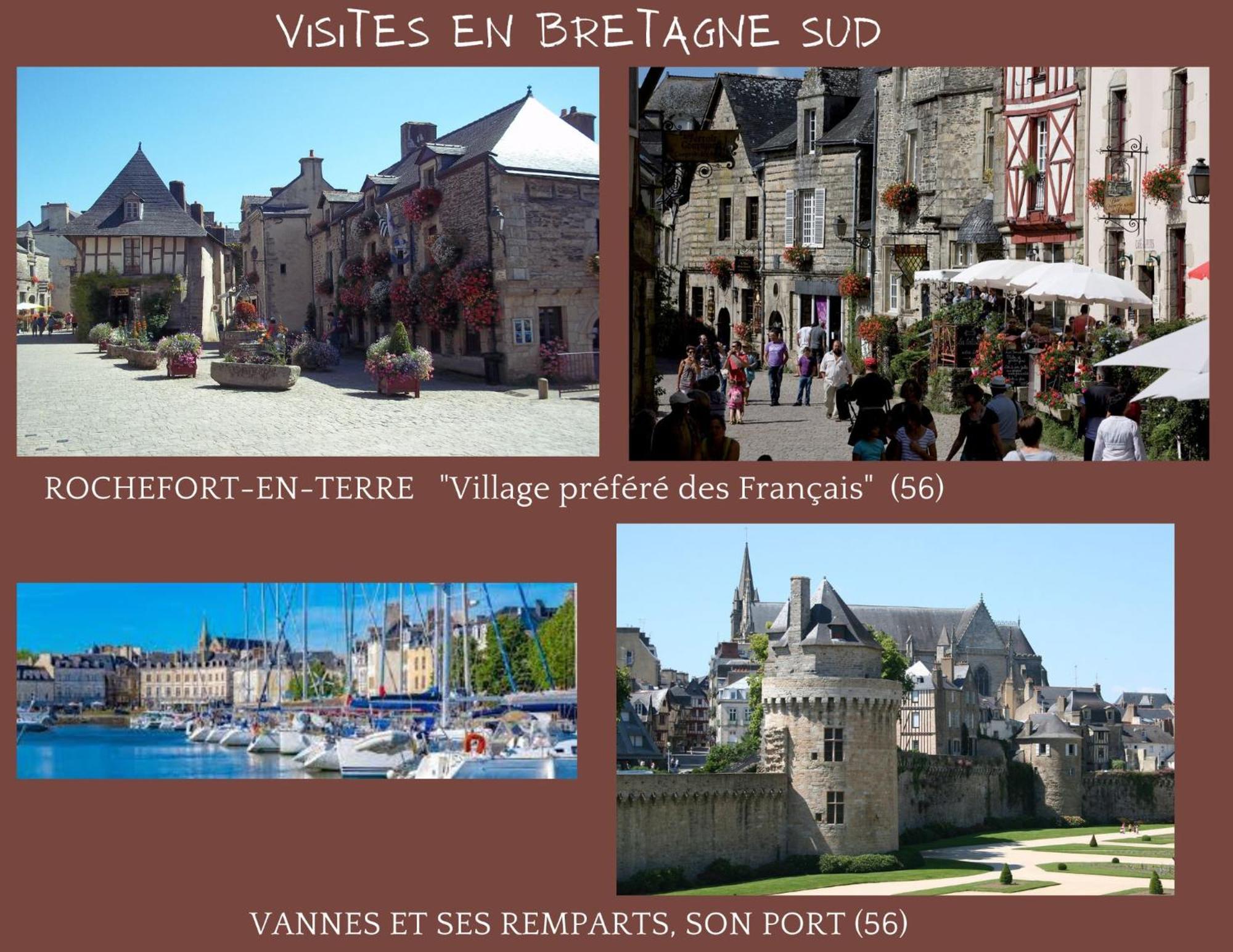O Studio Terrasse - Centre Ville De Lorient - Gare Экстерьер фото